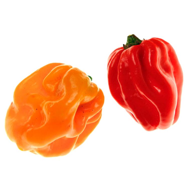 Chilli Habanero balenie 50 g