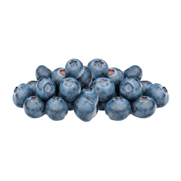 Čučoriedky balenie 125g / Heidelbeeren 125g