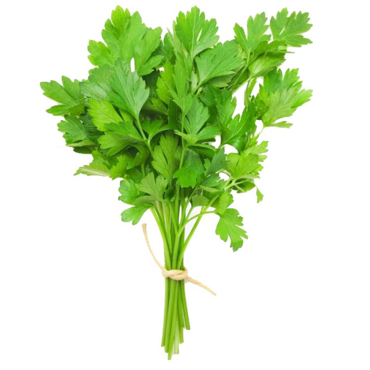Petržlen listový 30 g