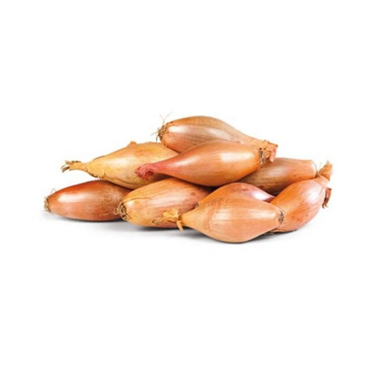 BIO šalotka balenie 200g