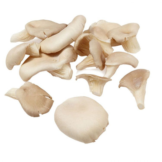 Hliva 250g / Austernplize 250g