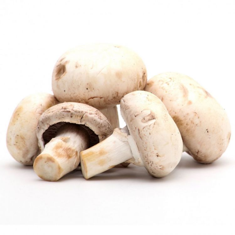 Šampiňony biele 500g / Champignon 500g